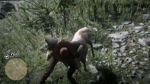 Red Dead Redemption 2 - КАК и ГДЕ ПОЙМАТЬ БАРАНА? смотреть онлайн