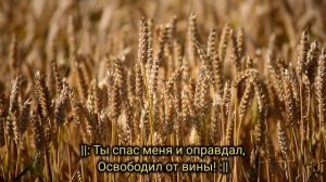 Милости Твоей полна вся земля | христианские песни для души | группа Добрая весть.