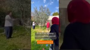 Правда о том, что происходит в Палестине