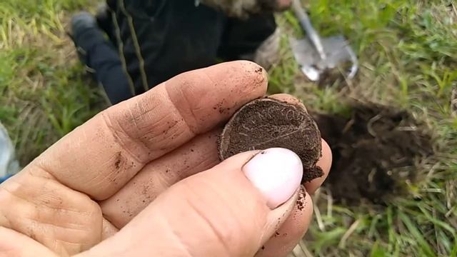 Пломбовый Клондайк. Слепой кладоискатель.