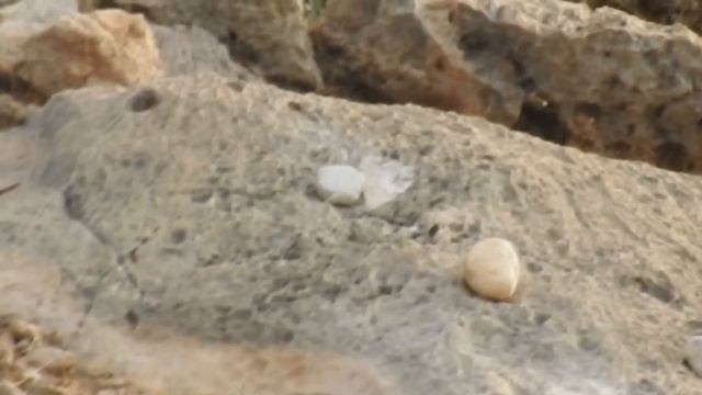 308 Winchester смотреть онлайн