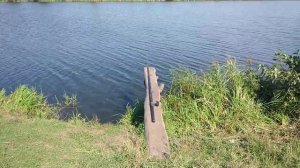 На озере в деревне Ибрагимово Кармаскалинского района Башкортостана 29 августа 2020 г.