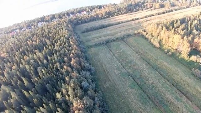 Гуси лебеди смотреть онлайн