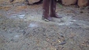 rubber boots puddle