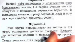 Практика по разбору предложения №1