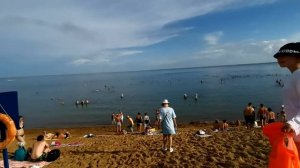 Яровое 2023 на Toyota Voxy Hybrid, розовое озеро Бурсоль, парк Жукова в Кемерово.