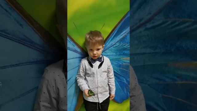 Лев Королёв "Дитя и мотылёк" Г. Тукай. смотреть онлайн