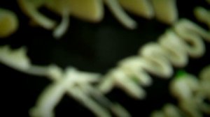 «Один день» на производстве тортов