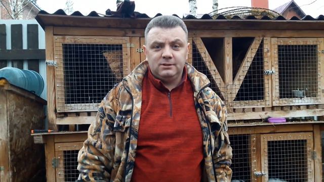 Обо всём понемногу