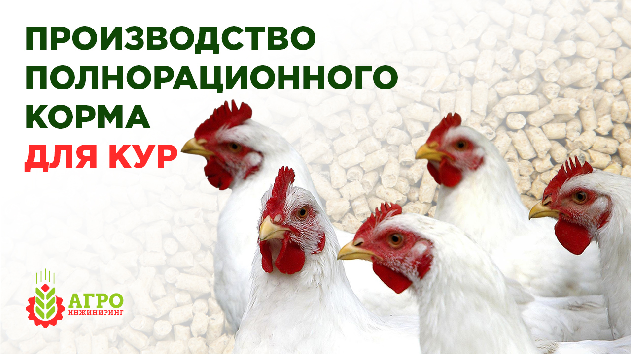 Делаем корма для кур мясных пород. Разбираю варианты рецептур.