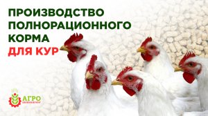 Делаем корма для кур мясных пород. Разбираю варианты рецептур.