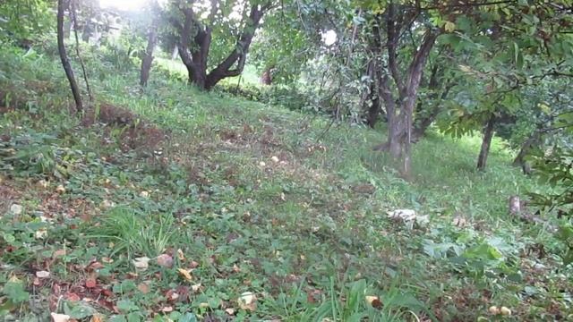 Всё, что было когда-то... смотреть онлайн