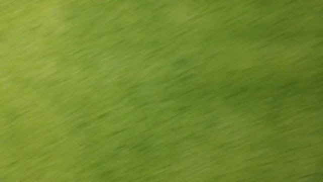 Жидкие обои Караганда смотреть онлайн