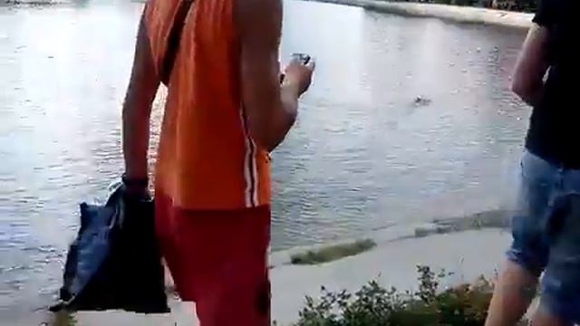 Рыбалка в городе смотреть онлайн