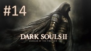 Прохождение DARK SOULS 2: Scholar of the First Sin - Часть 14