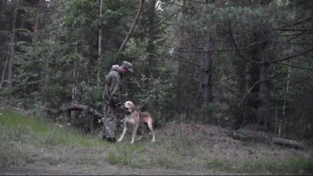 Начало подготовки к сезону состоялось 27. 07. 19 г . смотреть онлайн