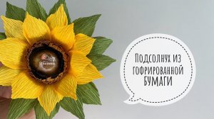Подсолнух из гофрированной бумаги с орехом внутри. Как сделать подсолнух из бумаги?
