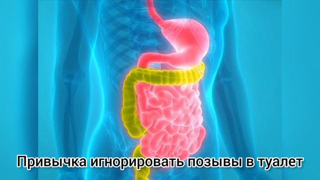 Как избавиться от запора. Қалай іш қатудан құтылуға болады.