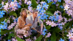 Голубые незабудки Денис Стальнов Автор видео Нина Рудакова