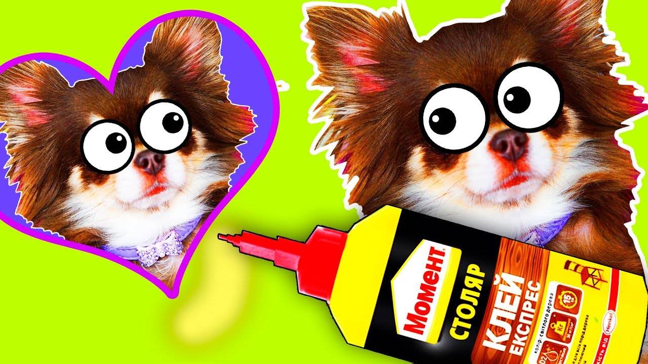 МАГНИТНОЕ ВОЛШЕБСТВО ✨ Питомцы украшают холодильник!