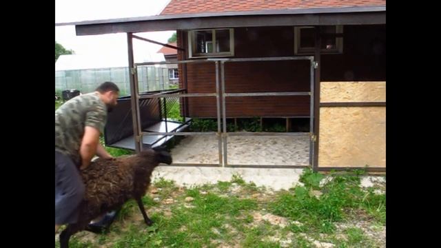 Новый дом для овец смотреть онлайн