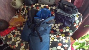 Хоккейные Шорты Bauer Nexus 1N