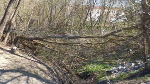 Свалка в селе Барышская Слобода Сурского района