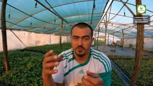 Обратный клапан на полив. Зачем и для чего он нужен?