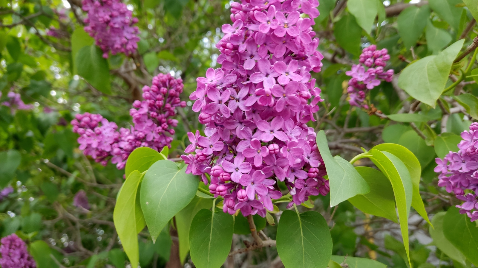 Много работы, ВЯЗАТЬ нет времени. смотреть онлайн