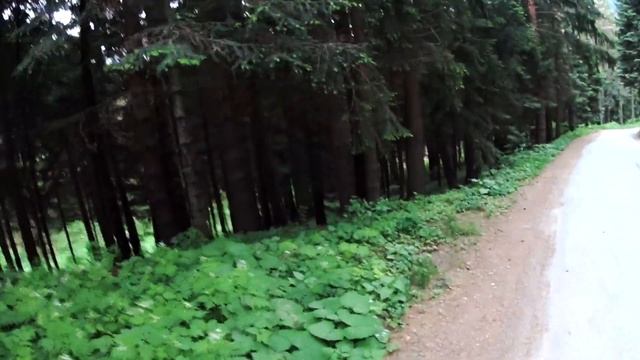 Болгария Паничище дикие абрикосы смотреть онлайн