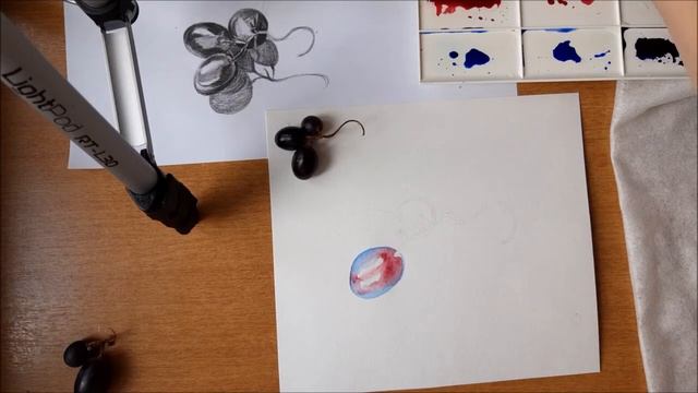 РИСУЕМ АКВАРЕЛЬЮ: ВИНОГРАД смотреть онлайн