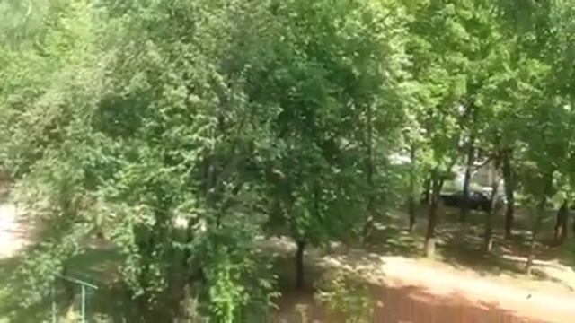 Ой цветёт рябина. Унаследует во дворе. смотреть онлайн