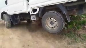 киа бонго