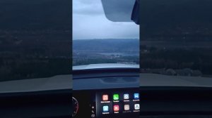 ПОЧЕМУ МУЖЧИНЫ ИДУТ В ЗАГС!