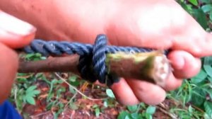 Примитивная технология   Ловушка для диких свиней с использованием резиновой стр Full HD