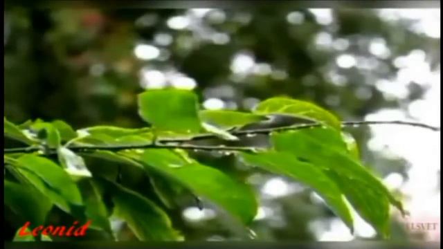 Глаза любимой Вячеслав Анисимов смотреть онлайн