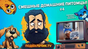 🐱СМЕШНЫЕ ДОМАШНИЕ ПИТОМЦЫ #4!  Подборка топовых видео про животных  2024 год!!!🐱