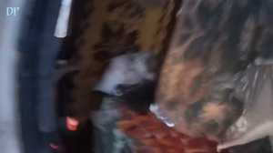 НАШЛИ ХИЖИНУ МОНАХА В ЛЕСУ