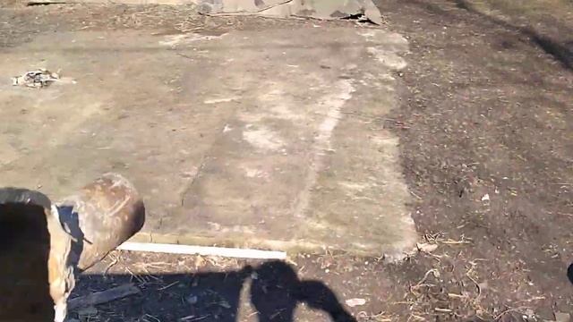 Праздник души пчеловода ... смотреть онлайн