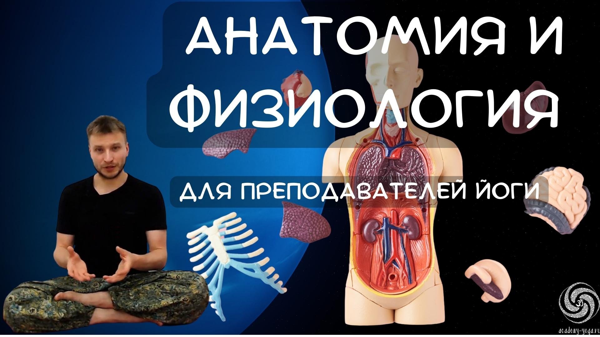 Общий курс анатомии. Общий курс анатомии