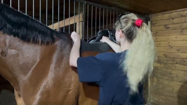 Подбираем седло для Примы с профессиональным седлфиттером