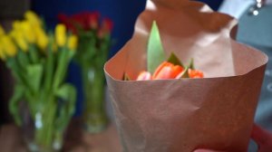 Тюльпаны как отпоить