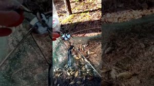Раколовки зонтик, ловим рыбу на раколовки.
