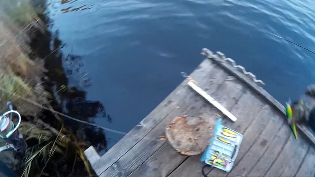 Ловля Щуки на TsuYoki MOVER 128SP Озеро Королёк Киев -.Здолбуновская 2 смотреть онлайн