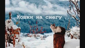 123 Victor Zinchuk - Popcorn