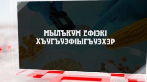 «Мылъкум еф1эк1 хъугъуэф1ыгъуэхэр»  (Наше наследие)