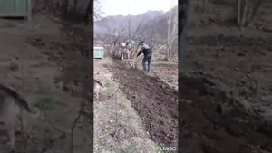 27 марта 2023 Шиназ