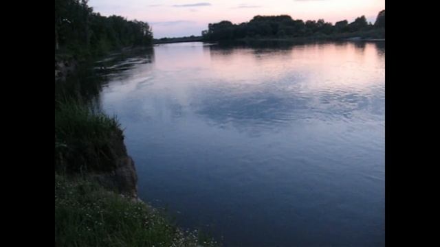 Соловьи на Десне. смотреть онлайн