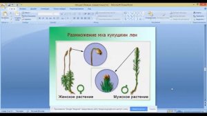 ОГЭ по биологии 9 класс.  Занятие 14. Царство растения. Отдел мхи.