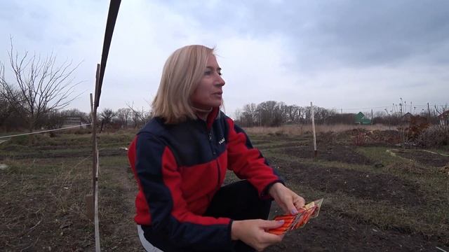 Сеем морковь в январе. Кубань. Гостагаевская